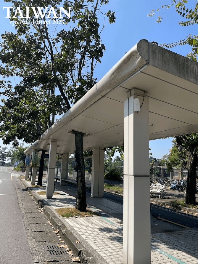 Modern canopy walkway in Taiwan with white pillars, tiled floor, and roof openings built around trees, bicycles visible in background