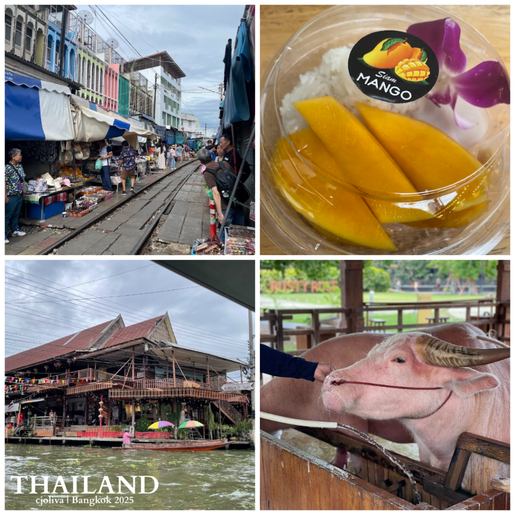 Collage of Thailand in 24 hours, 2025, showing the railway market in Bangkok, mango sticky rice labeled Siam Mango, a riverside traditional building, and a visitor petting a water buffalo at Rustic Farm.