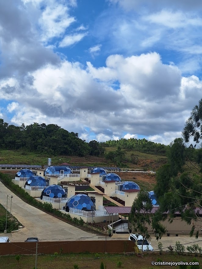 Cluster of dome-shaped buildings with blue hexagonal roofs on a hillside, connected by pathways and surrounded by grassy slopes and forest.