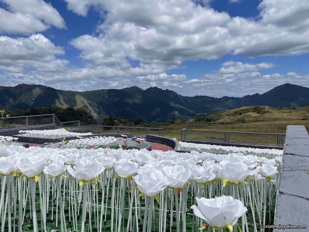 Close-up of artificial white flowers with green stems in a garden setting, mountains, and blue sky with clouds in the background at Montevalle.