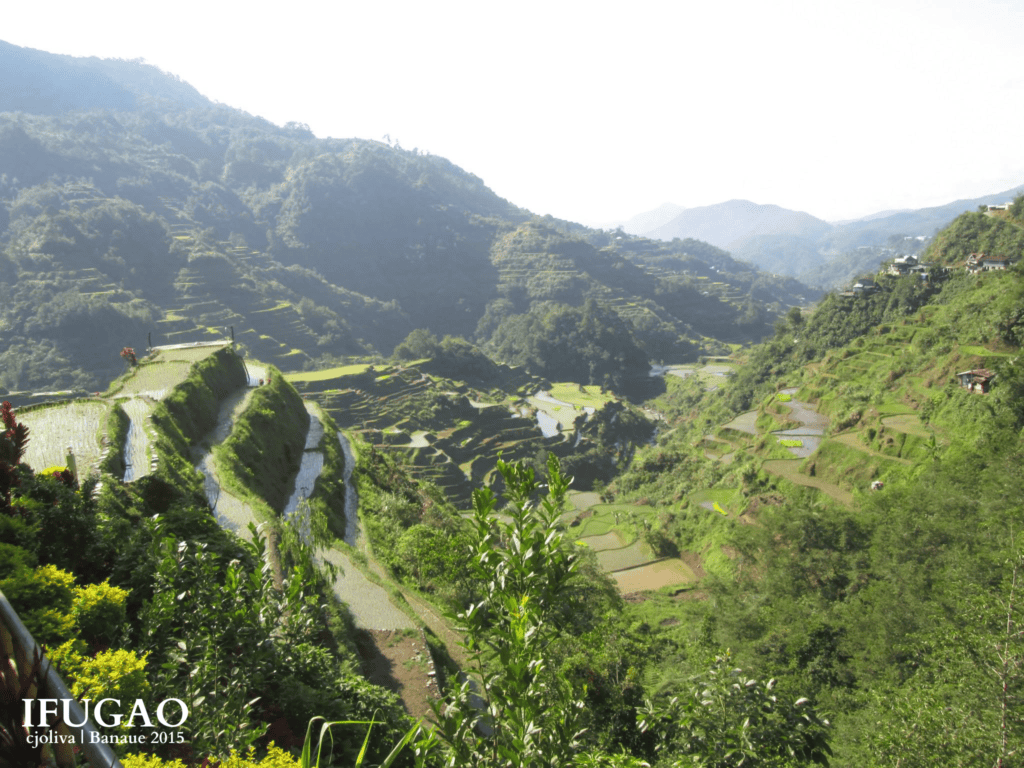 Banaue Rice Terraces in Ifugao, Philippines, with lush green vegetation, water reflecting sunlight on stepped fields, and small huts along the hillsides under a bright sky.