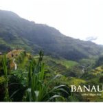 Scenic view of Banaue Rice Terraces in Ifugao, Philippines, with lush green vegetation, layered paddies carved into mountains, a misty background, and people walking along narrow paths.