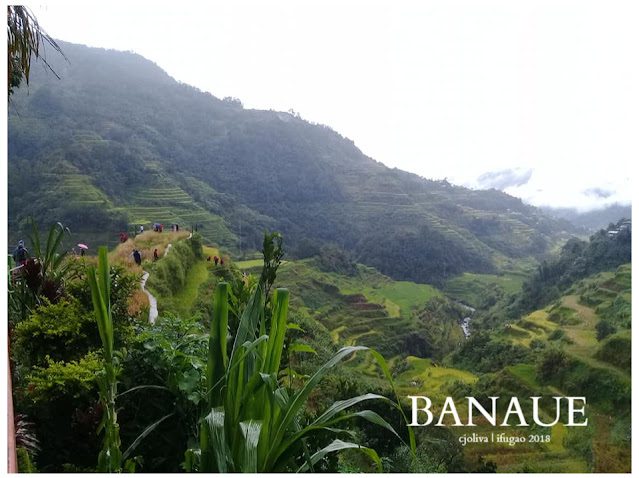 Scenic view of Banaue Rice Terraces in Ifugao, Philippines, with lush green vegetation, layered paddies carved into mountains, a misty background, and people walking along narrow paths.