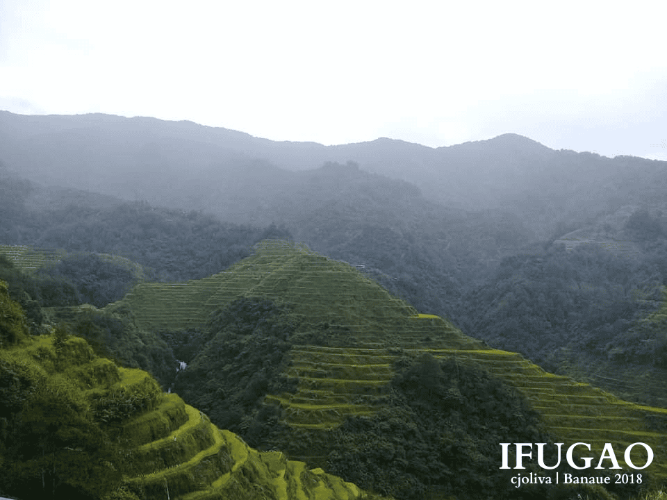 Banaue Rice Terraces in Ifugao, Philippines, with lush green paddies carved into mountains, mist and clouds covering distant peaks, creating a serene and atmospheric view.
