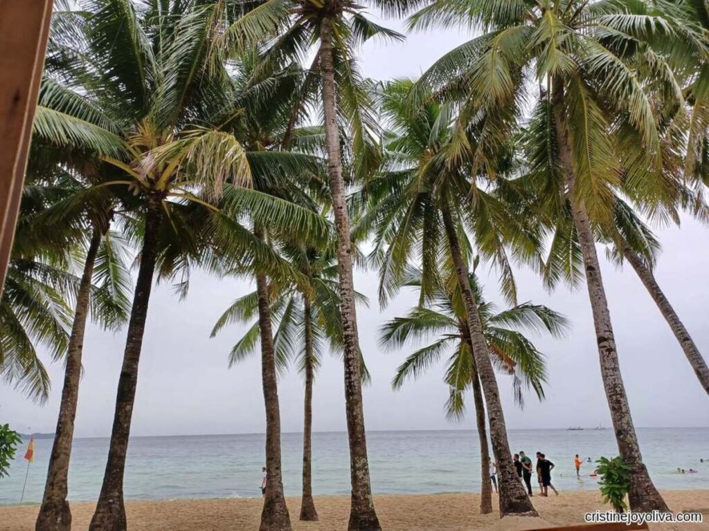 Tall coconut palm trees on Boracay beach with sandy shore, calm blue ocean, and people walking near the shoreline under soft overcast skies.