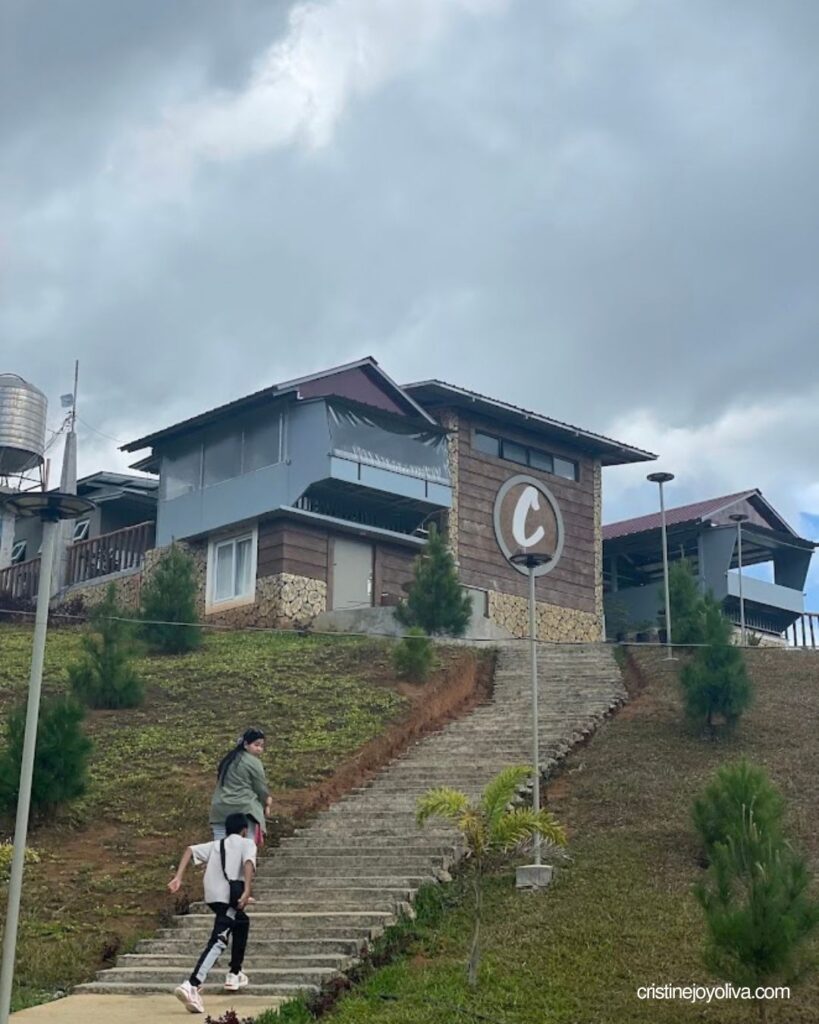 Visitors walking up a long concrete outdoor staircase leading up a grassy hill toward C Cafe, a modern wooden and stone hilltop building with a distinct circular C logo on the facade.