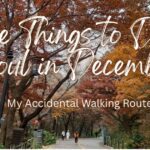 Vibrant autumn foliage along Namsan Tree Road, a beautiful route and one of the best things to do in Seoul in December for free.