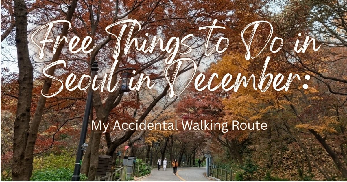 Vibrant autumn foliage along Namsan Tree Road, a beautiful route and one of the best things to do in Seoul in December for free.