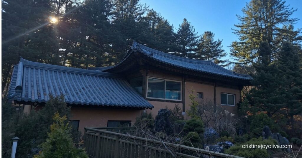 Sunlight filters through pine trees above a traditional tiled-roof Korean hanok house at the Garden of Morning Calm