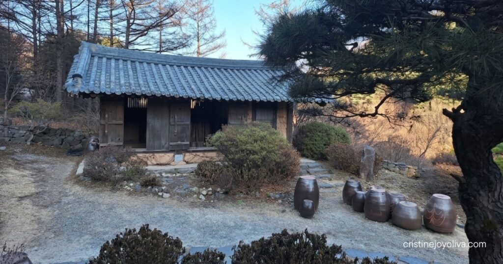 Large brown onggi fermentation jars sit in front of a traditional wooden building at the Garden of Morning Calm.