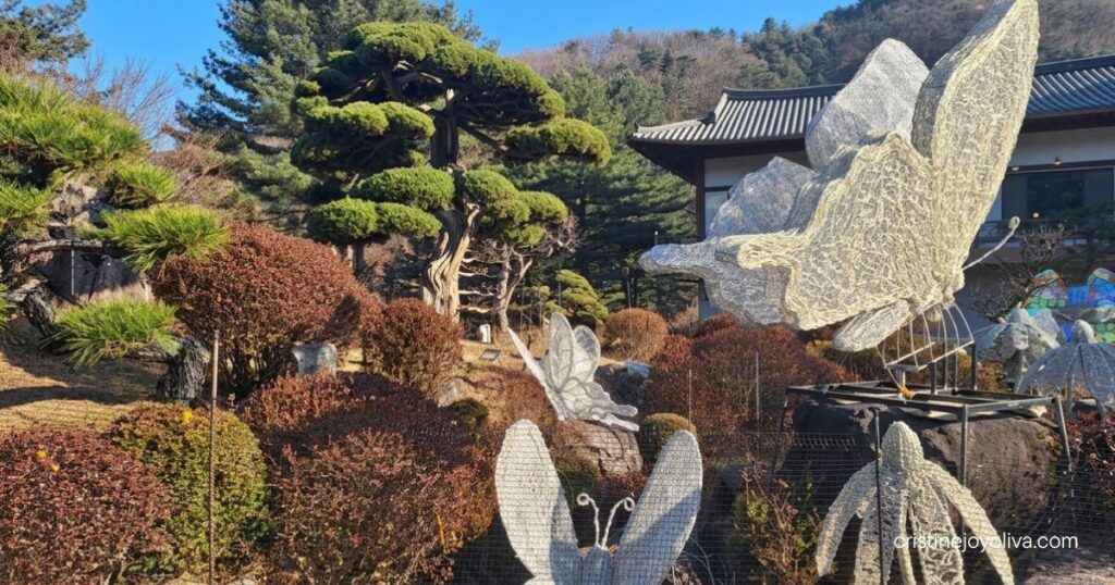 Giant white butterfly light sculptures decorate a pine-filled garden in front of a hanok building at the Garden of Morning Calm
