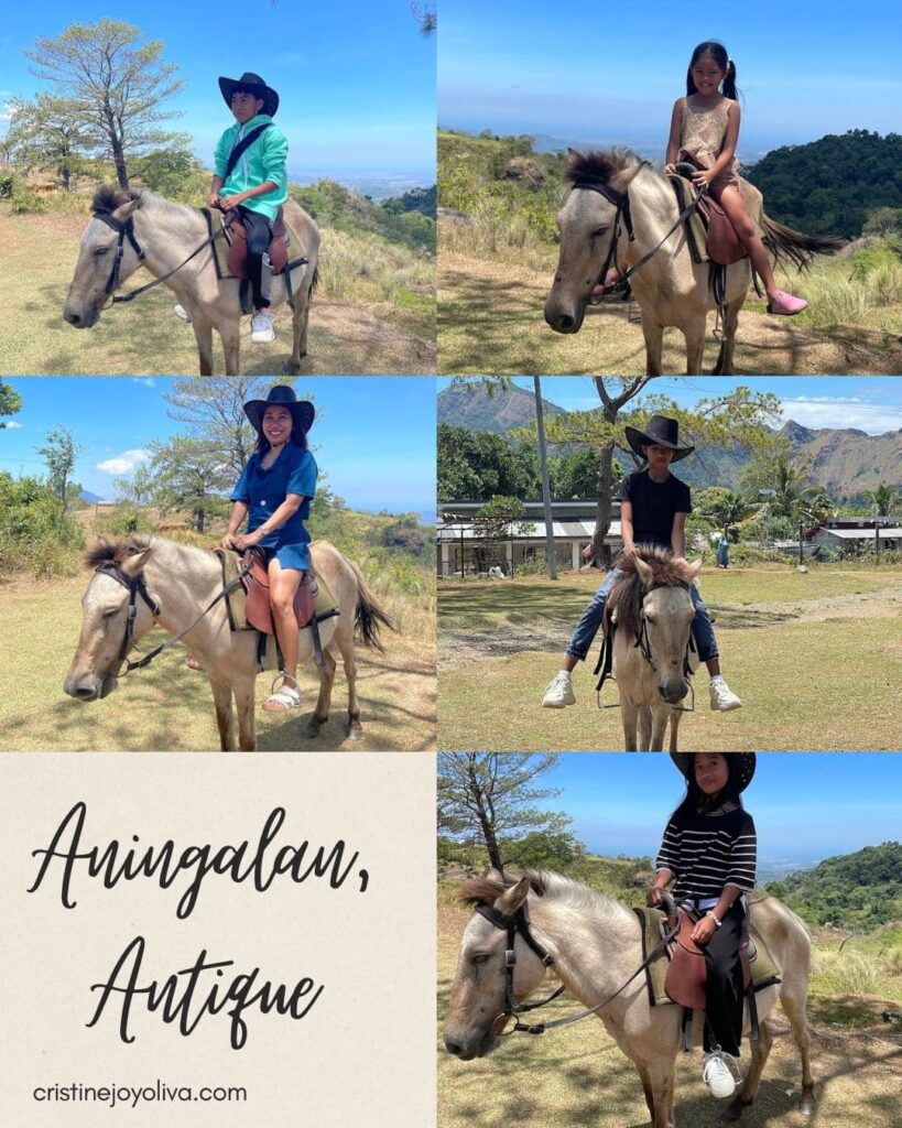 A photo collage showing adults and children wearing cowboy hats while horseback riding on light brown horses along a mountain trail in Aningalan, Antique.
