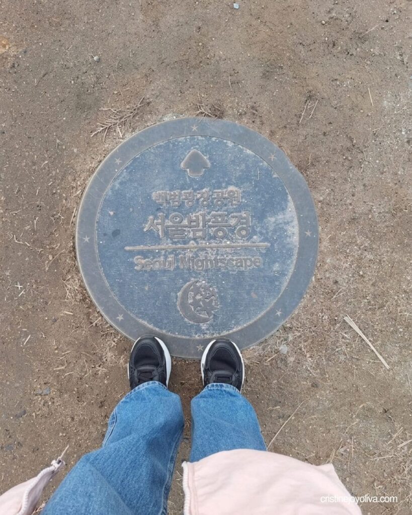Standing on a Seoul Nightscape viewpoint marker along a Namsan Park trail