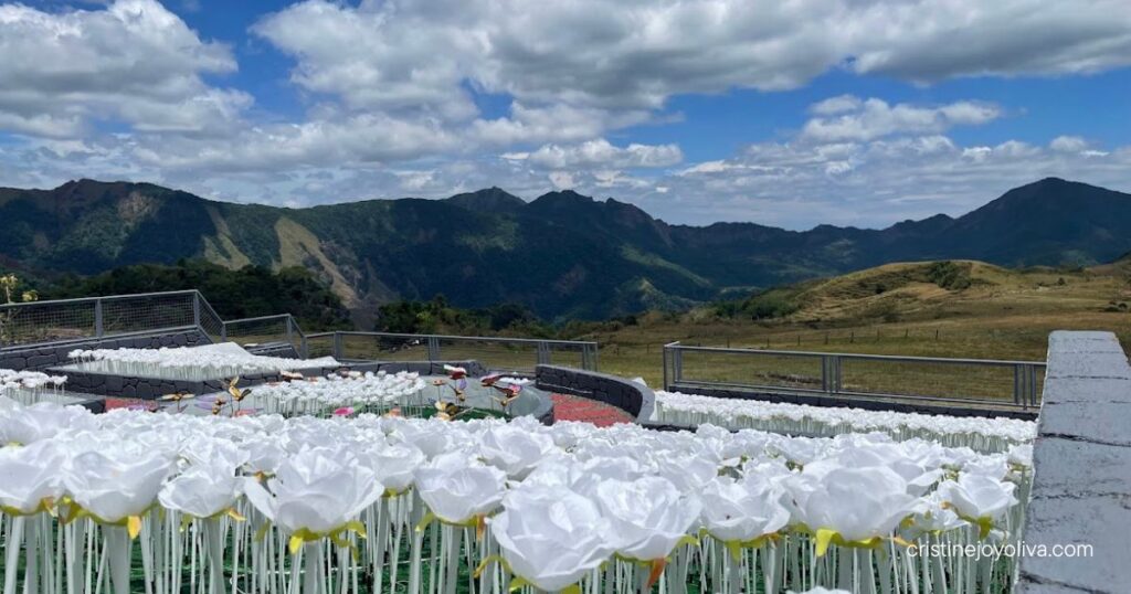 A field of white artificial LED roses on stems overlooking green mountain ranges under a partly cloudy blue sky at Montevalle Resort.