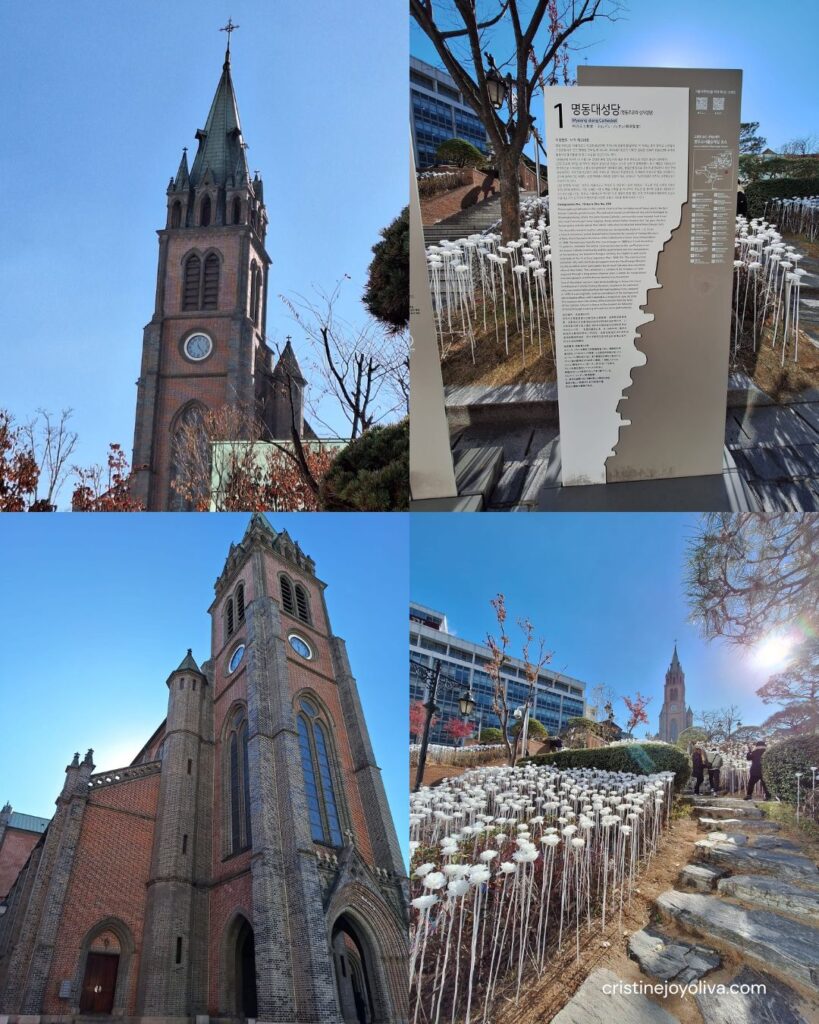 A photo collage showing Gothic architecture of Myeongdong Cathedral and surrounding LED white rose garden in Seoul.