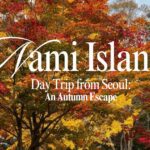 A dense canopy of colorful red and yellow autumn leaves framing white text overlay that reads "Nami Island Day Trip from Seoul: An Autumn Escape."