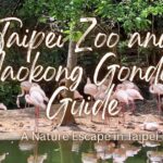 A flock of pink flamingos rests by a pond in the Taipei Zoo near the Maokong Gondola station.