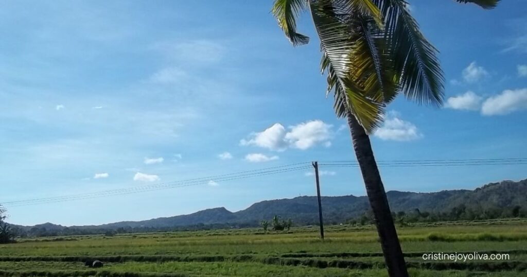 Scenic rural landscape in Antique, Philippines, with lush green fields, a leaning coconut palm tree, distant hills, and a bright blue sky with scattered clouds