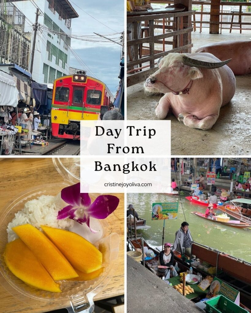 Day trip from Bangkok collage: Maeklong Railway Market train, pink buffalo, mango sticky rice, and floating market boats