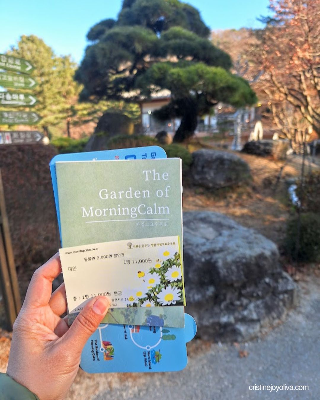 Hand holding a Garden of Morning Calm entrance ticket and map brochure in front of a sculpted pine tree and rocks