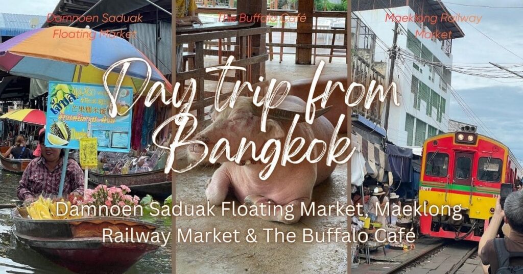 Day trip from Bangkok: Maeklong Railway Market train, pink buffalo and a Damnoen Saduak Floating Market boat