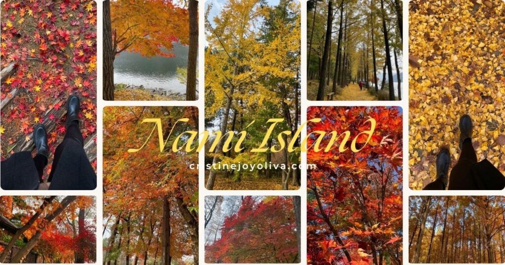 Collage of Nami Island in autumn with red maple leaves, yellow ginkgo trees, a pavilion, and leaf-covered tracks