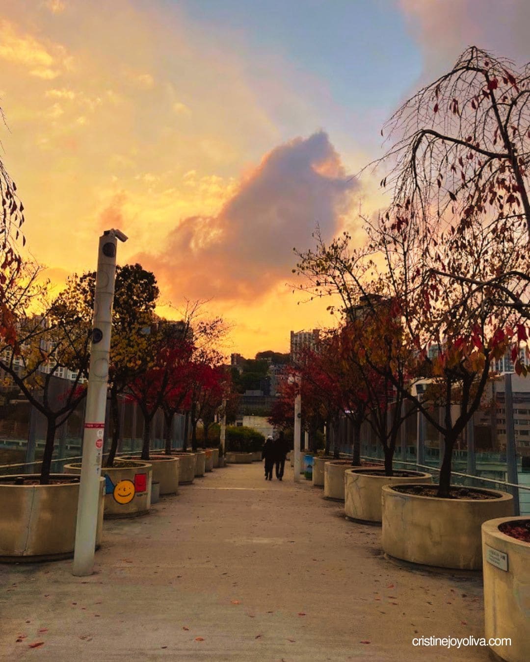 Two people walking along Seoullo 7017 elevated garden path lined with red autumn trees in planters under a sunset sky