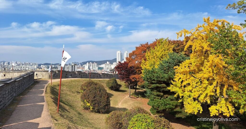Path along the Suwon Hwaseong Fortress wall with yellow ginkgo and red autumn trees, a white flag, and the city beyond