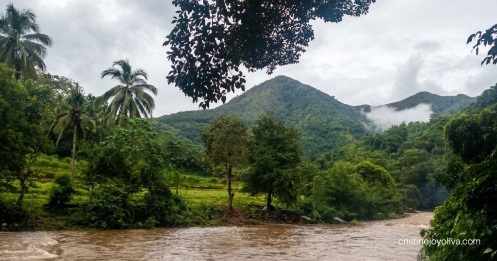 Fast-flowing brown river with coconut palms and a misty green mountain in Tibiao, Antique